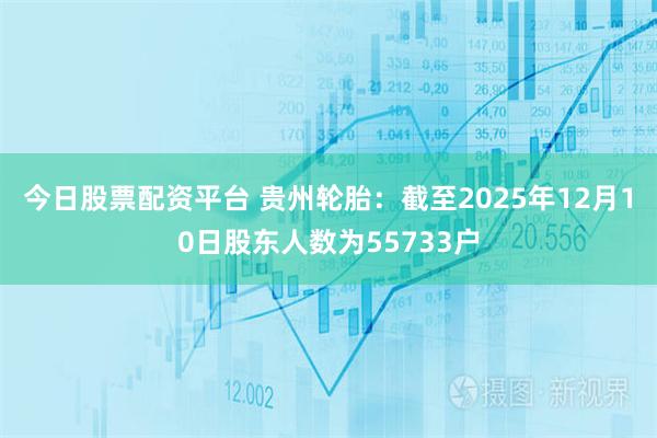 今日股票配资平台 贵州轮胎：截至2025年12月10日股东人数为55733户