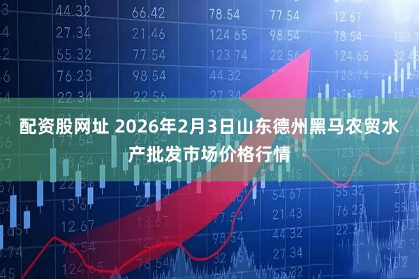 配资股网址 2026年2月3日山东德州黑马农贸水产批发市场价格行情