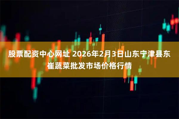 股票配资中心网址 2026年2月3日山东宁津县东崔蔬菜批发市场价格行情